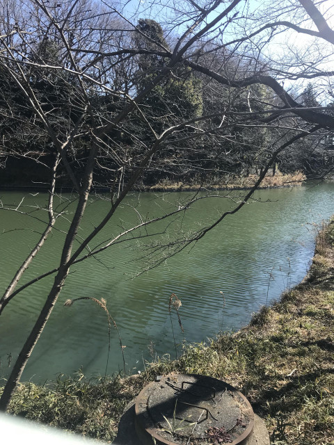 籠口ノ池及び化粧面谷公園